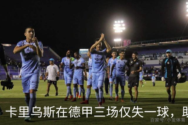 卡里乌斯在德甲三场仅失一球，助沙尔克保级显成效